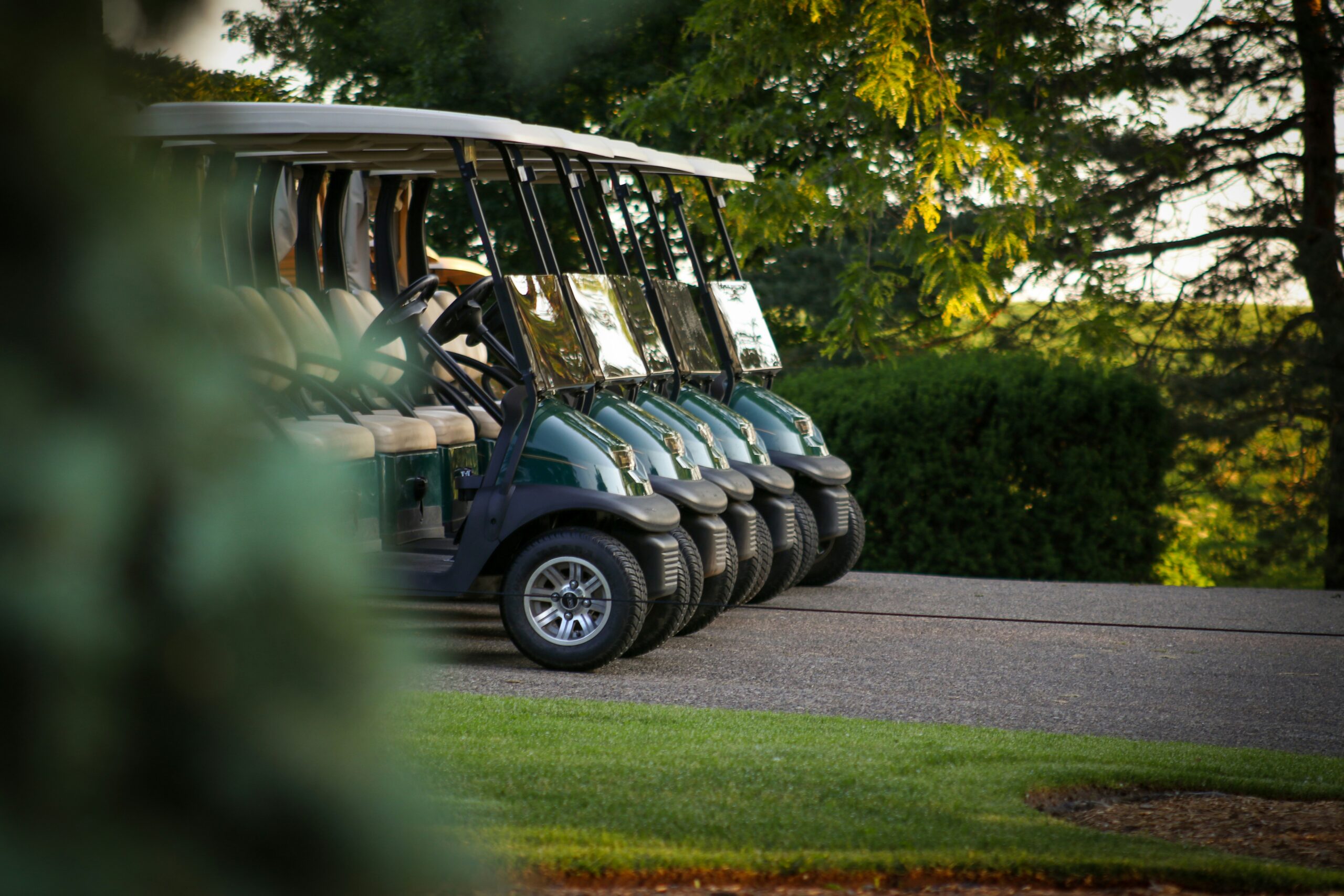 Golf carts representing dealership inventory managed with Lightspeed DMS